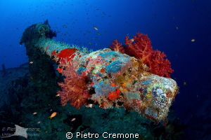 Thistlegorm cannon by Pietro Cremone 